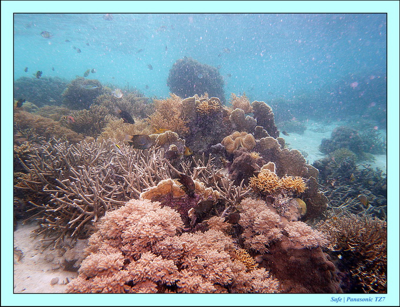 2011 - 08 - Bohey Dulang Island 28